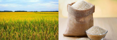 Rice Loose খোলা চাল