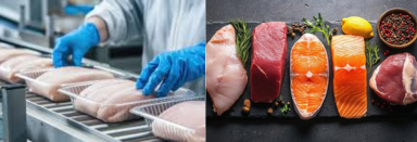 Fish & Meat মাছ ও মাংস