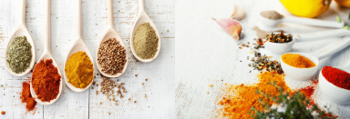 Food Enhancer খাদ্য বর্ধক