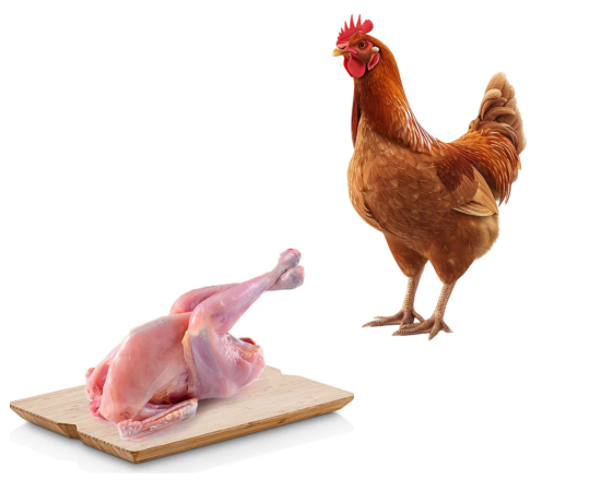 Hen - Sonali Hen সোনালী মুরগী,-93309