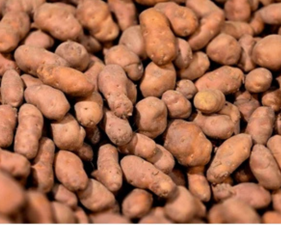 A. Shil Potato-Shil Alu শীল আলু