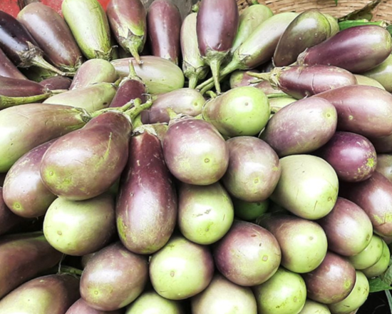 Eggplant (Begun hybrid- বেগুন হাইব্রিড)