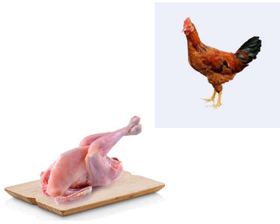 Hen - Cross Hen ক্রস মুরগী ,-93509