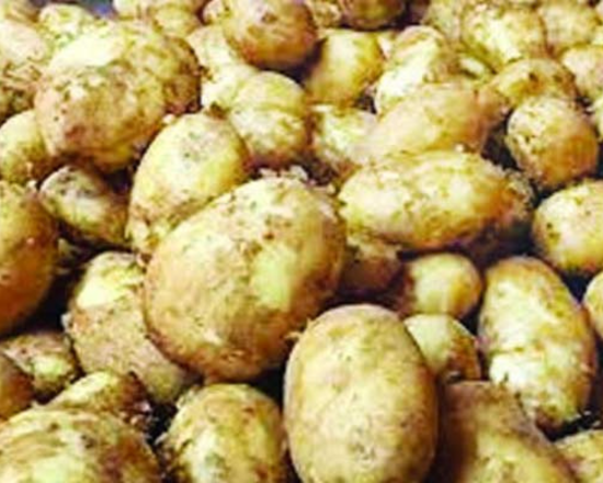 New potato- Notun Alu নতুন আলু